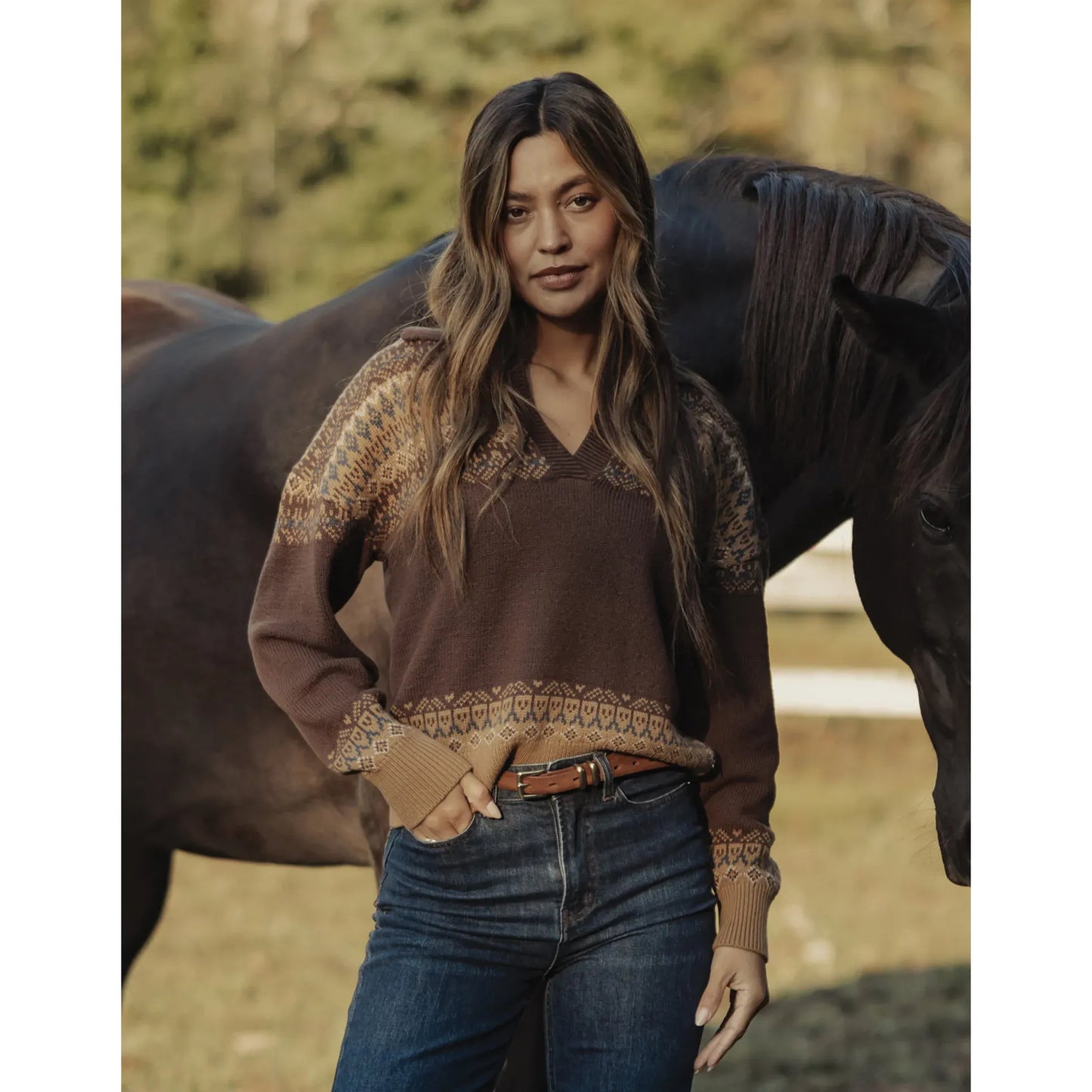 Fair Isle Polo Sweater in Brown Multi