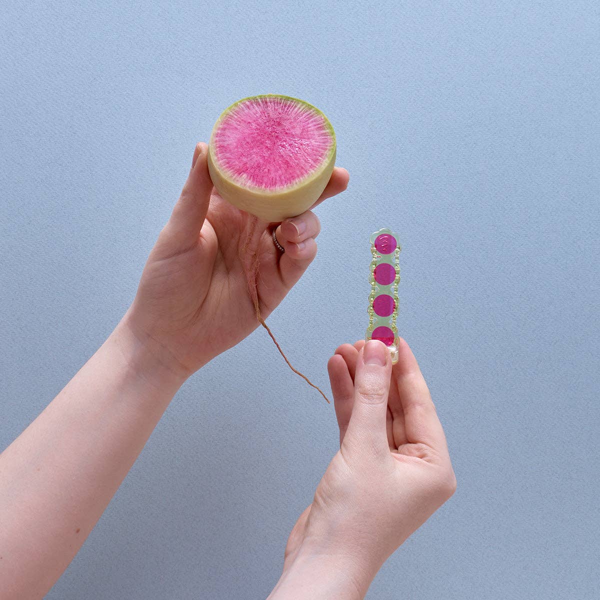 Watermelon Radish Retro Alligator Hair Clip