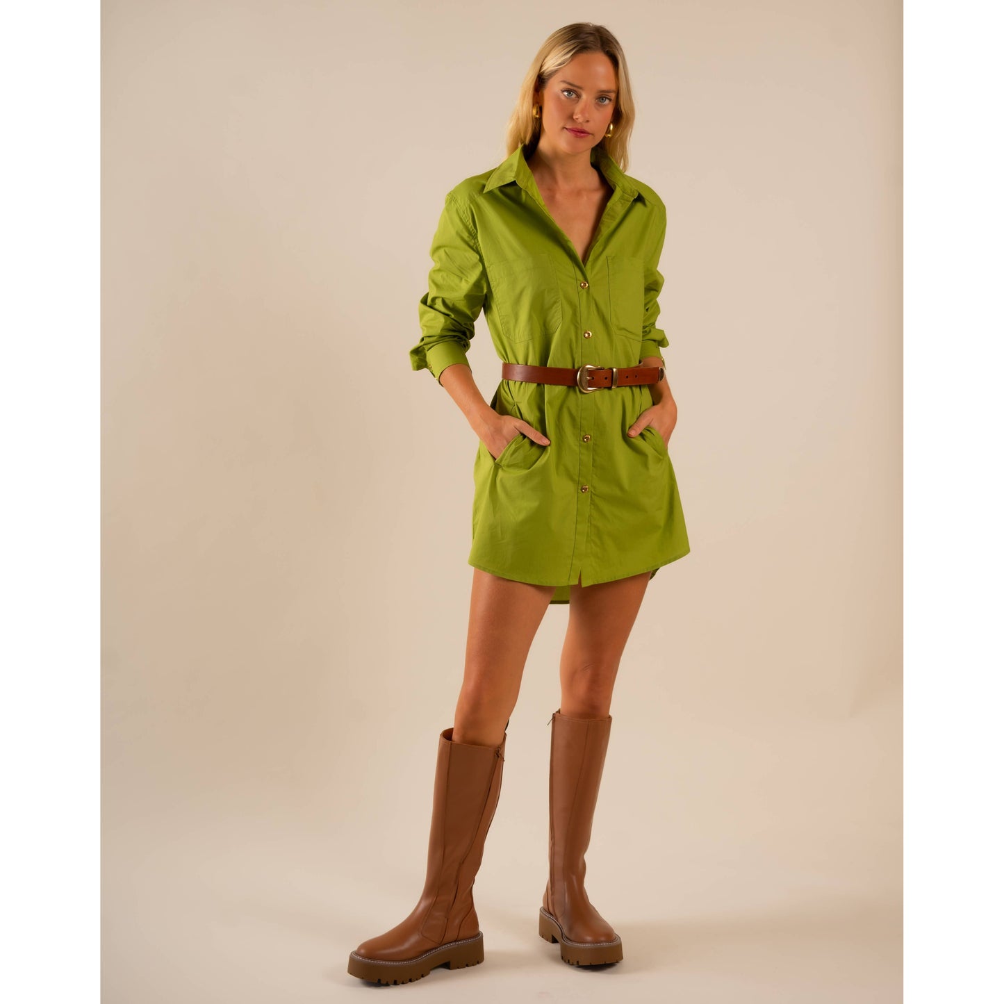 Basic Preslie Poplin Shirt Dress