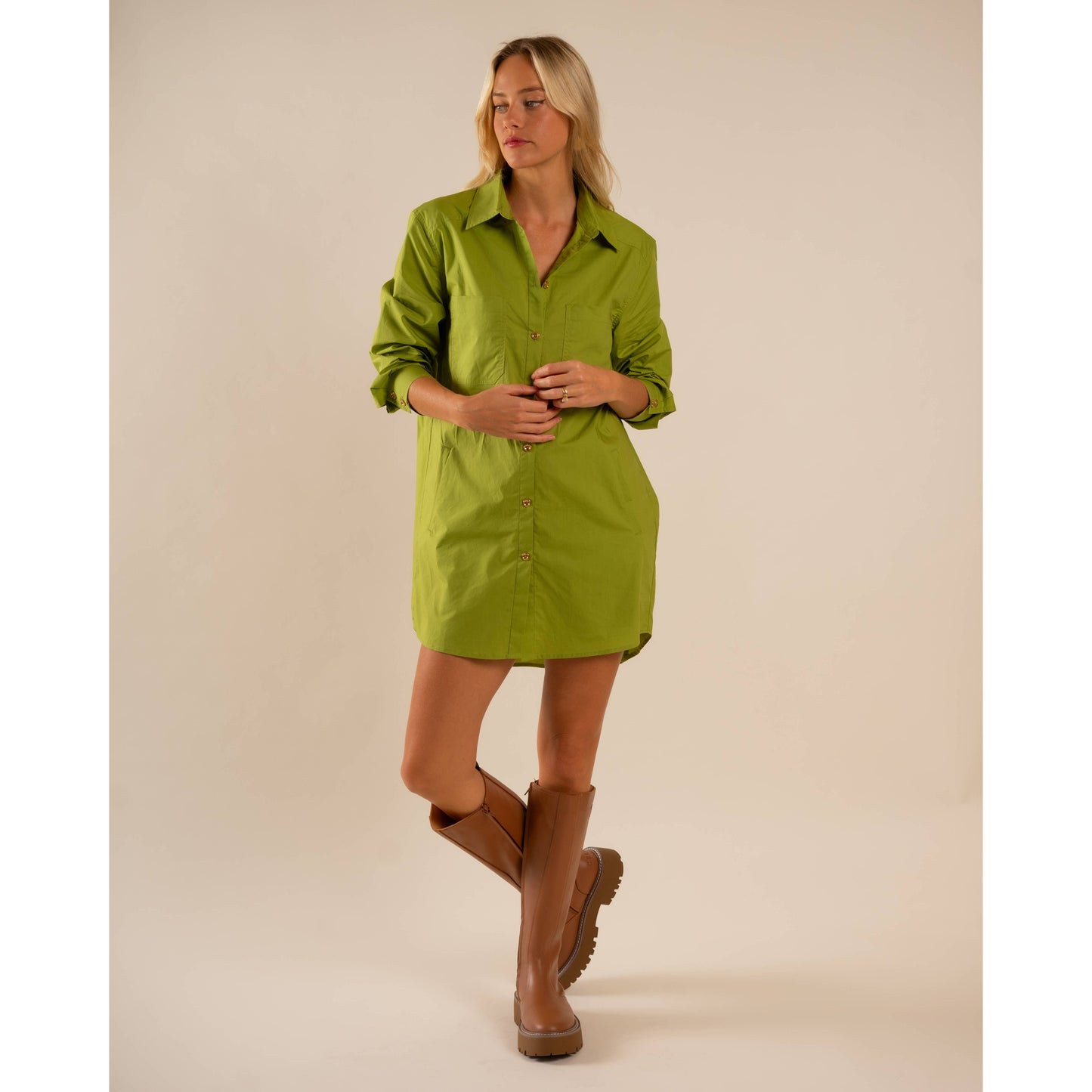 Basic Preslie Poplin Shirt Dress