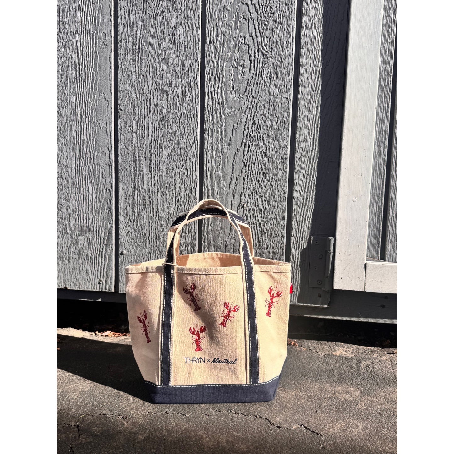 Bleutral x THRYN Hand Painted Totes
