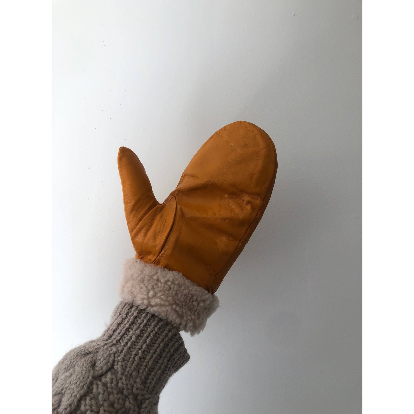 Leather Shearling Mittens