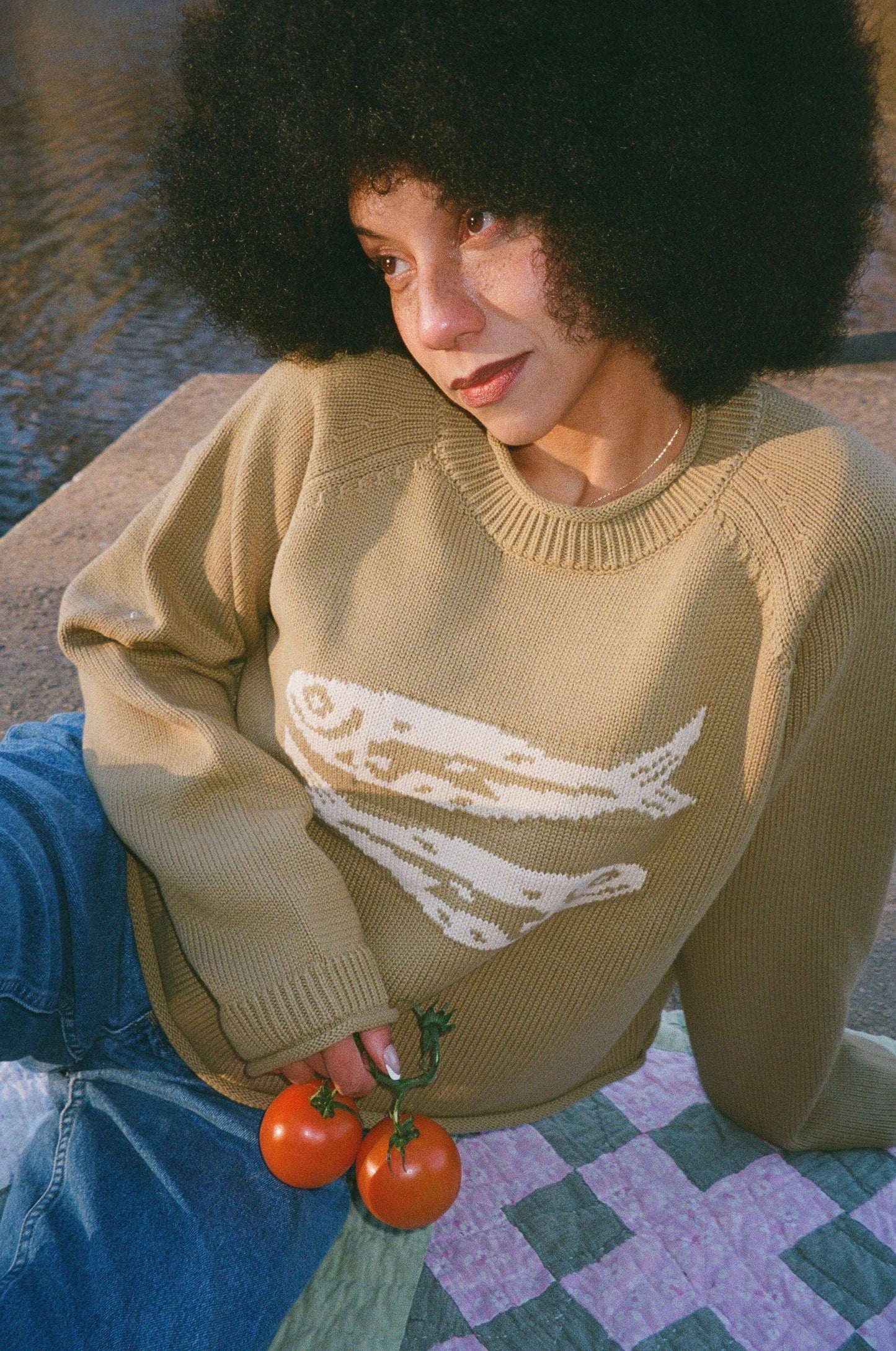 Cottage Sardine Sweater