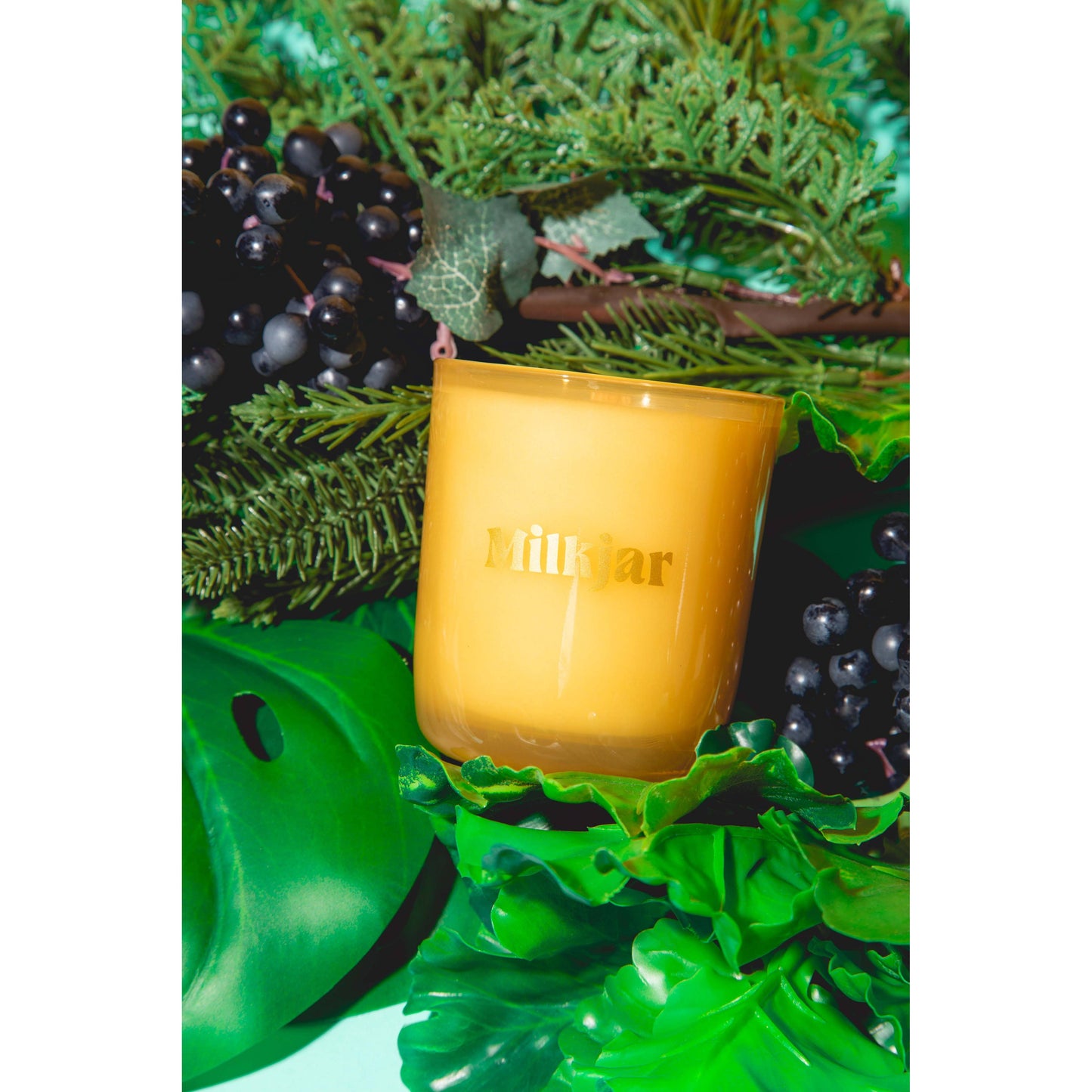 Garden State - Cedar & Cassis Coconut Soy 8oz Candle