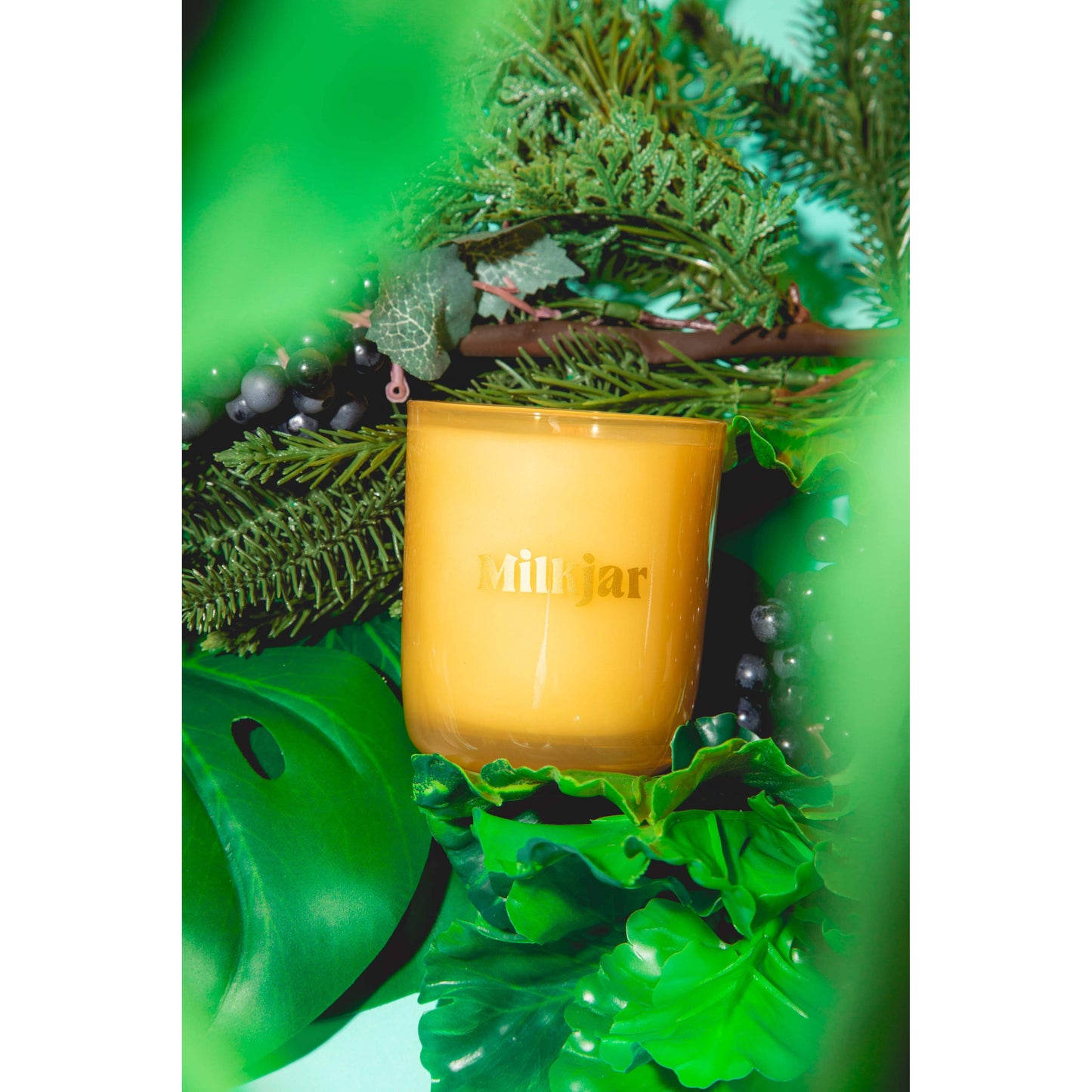 Garden State - Cedar & Cassis Coconut Soy 8oz Candle